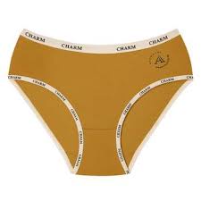 CHEER Satin Ice Silk Panty – Soft Comfort with a Luxe Feel