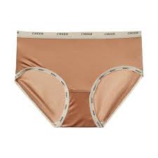 CHEER Satin Ice Silk Panty – Soft Comfort with a Luxe Feel