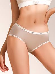 CHEER Satin Ice Silk Panty – Soft Comfort with a Luxe Feel